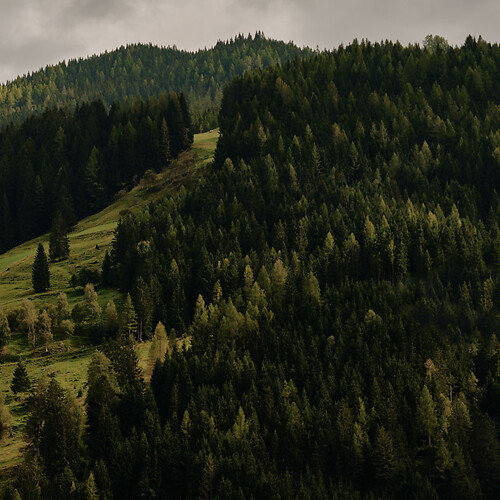 Berge im Grossarltal für Nachhaltigkeit