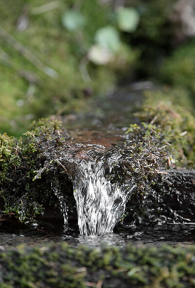 Nature in the Großarl valley