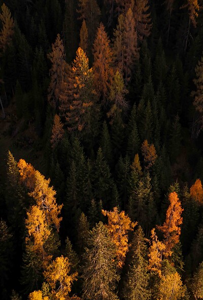 Autumn in the Großarltal