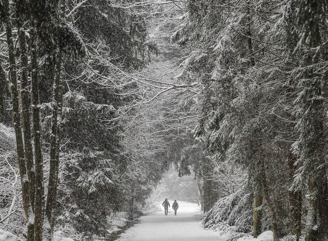 A winter hiking trail in Grossarl